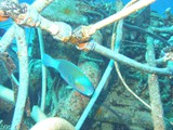 aegypten_2024-12-29_12-55-16_dsci8931