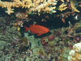aegypten_2025-01-02_12-48-27_dsci0015