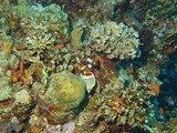 aegypten_2025-01-03_06-08-03_dsci0103